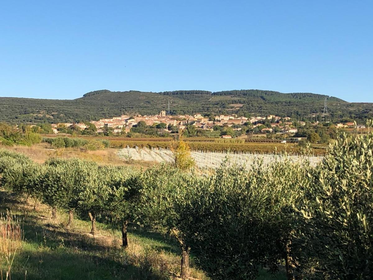 Val Des Bruyeres - Gite 15Mn Pezenas Avec Terrasse Et Cour Close - Parking Privatif Securise - Wifi Ftth Gratuit Neffies Exterior foto