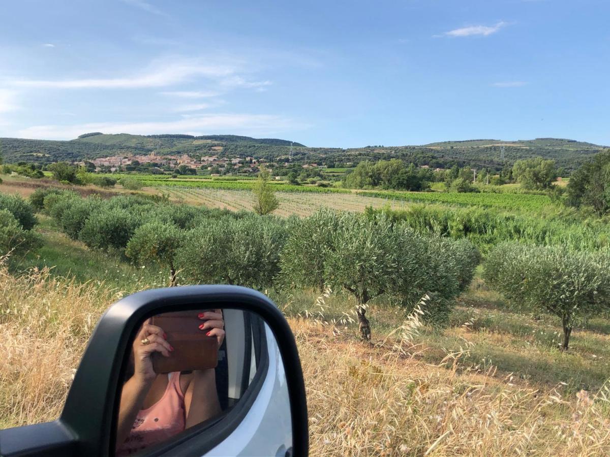Val Des Bruyeres - Gite 15Mn Pezenas Avec Terrasse Et Cour Close - Parking Privatif Securise - Wifi Ftth Gratuit Neffies Exterior foto