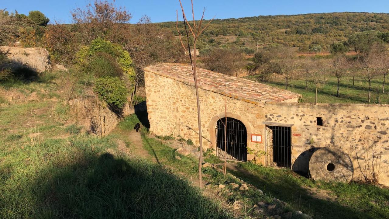Val Des Bruyeres - Gite 15Mn Pezenas Avec Terrasse Et Cour Close - Parking Privatif Securise - Wifi Ftth Gratuit Neffies Exterior foto